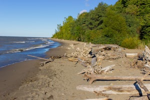 Hike the Shoreline-Lakeview Loop