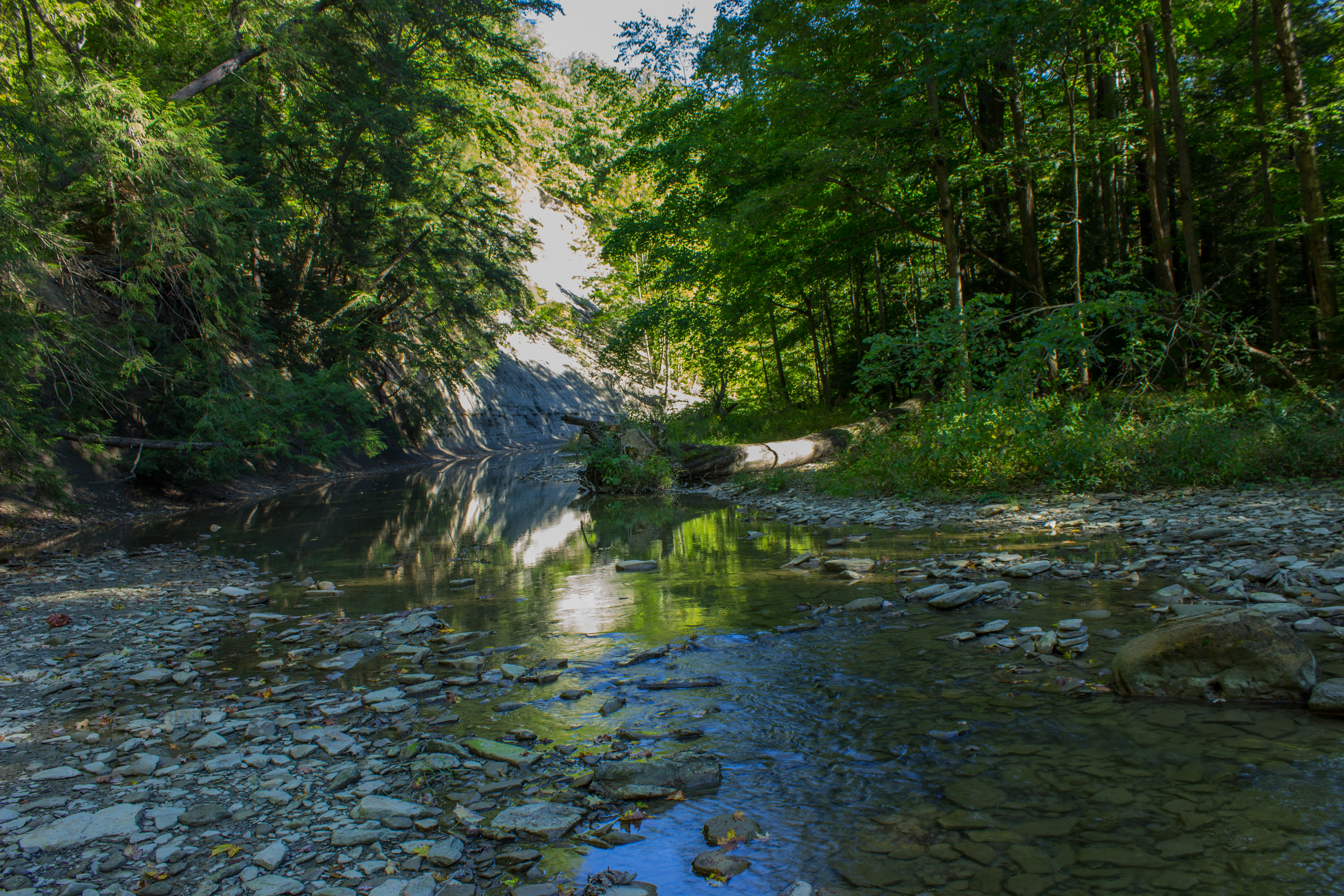 The best Backpacking in and near Transfer, Pennsylvania