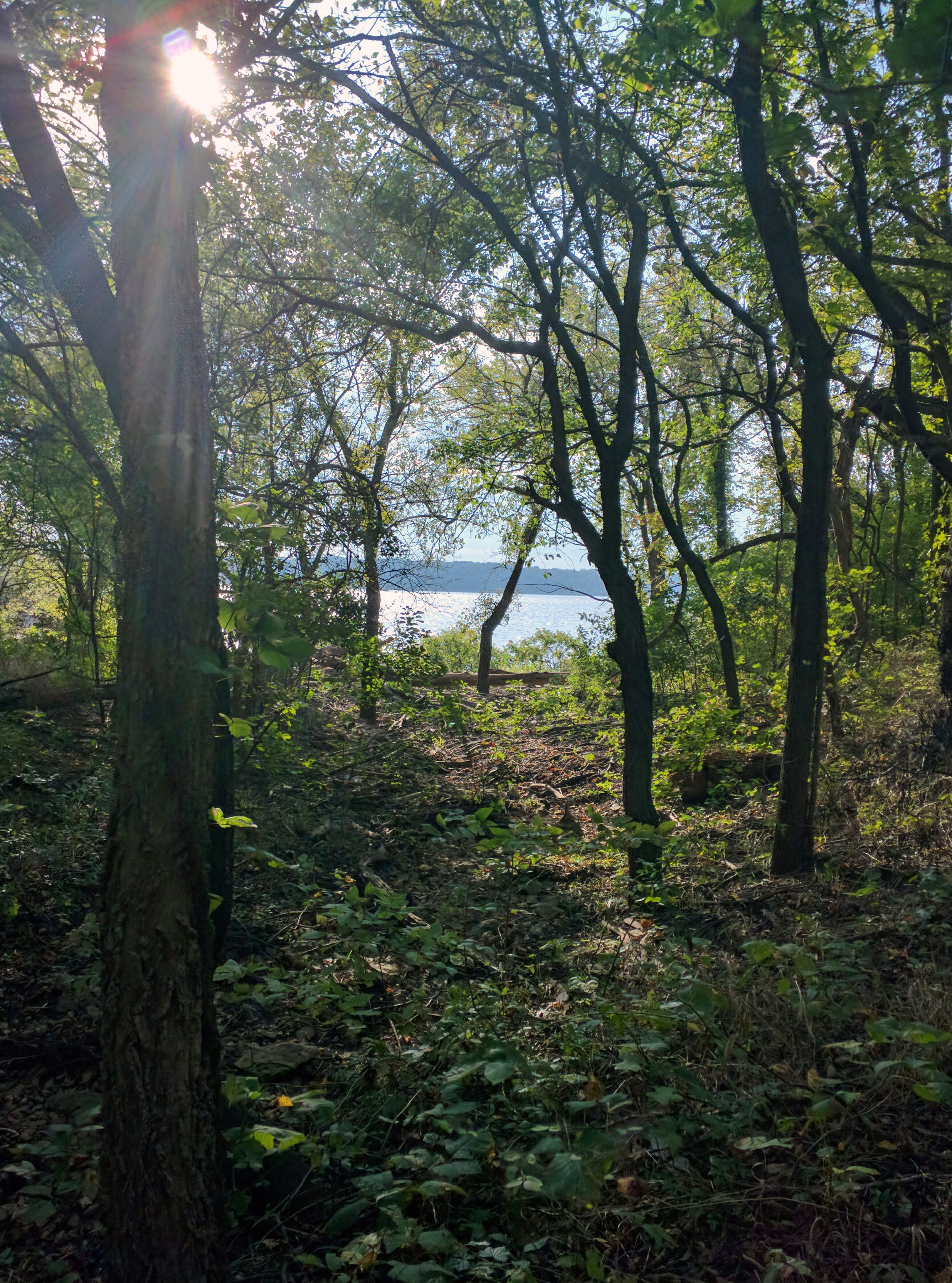 Hike the George Lathan Hiking Trail