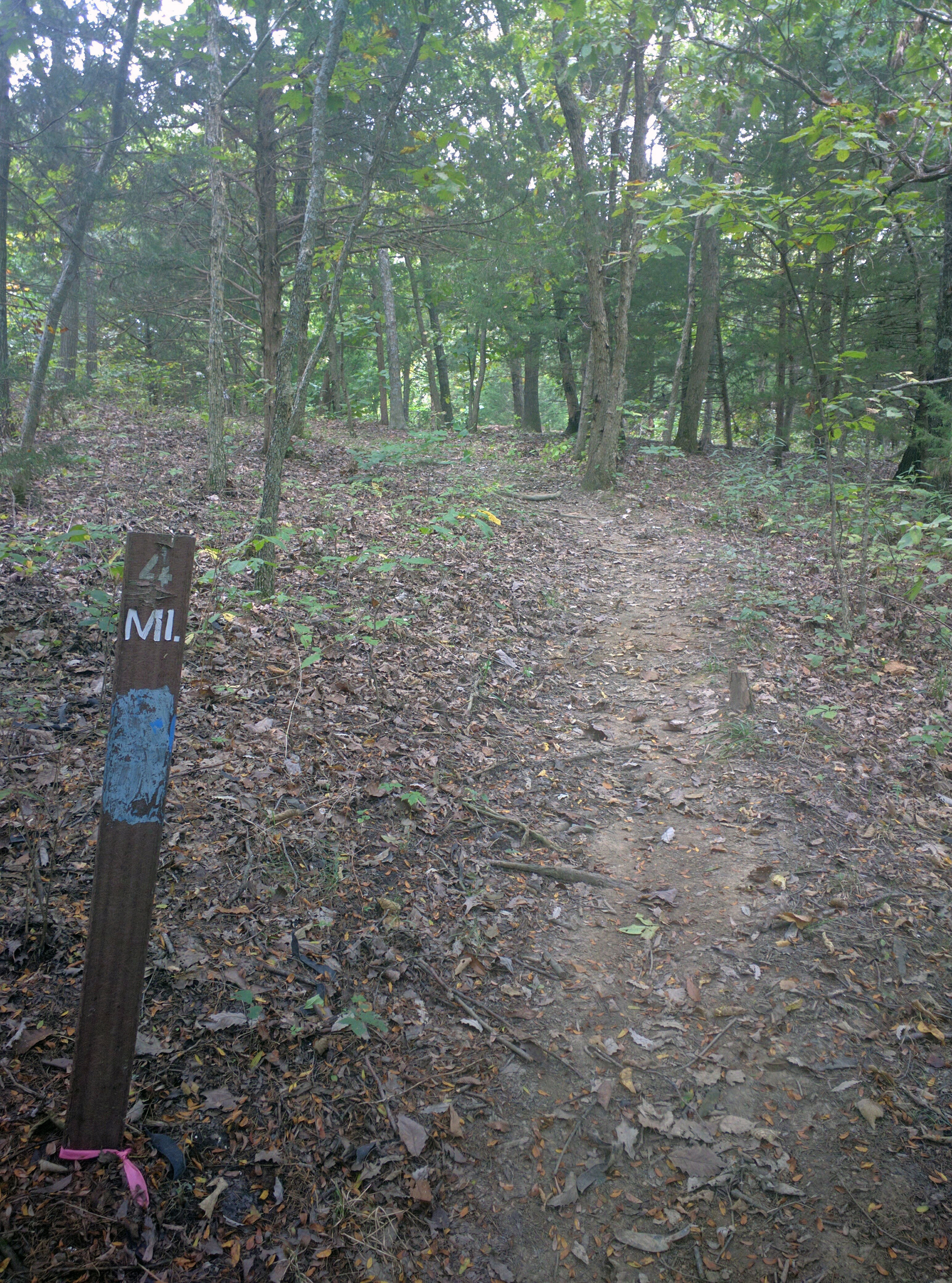 Hike the George Lathan Hiking Trail