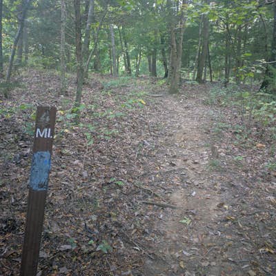 Hike the George Lathan Hiking Trail