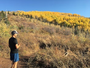 Trail Run or Hike Lambs Canyon