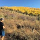 Trail Run or Hike Lambs Canyon