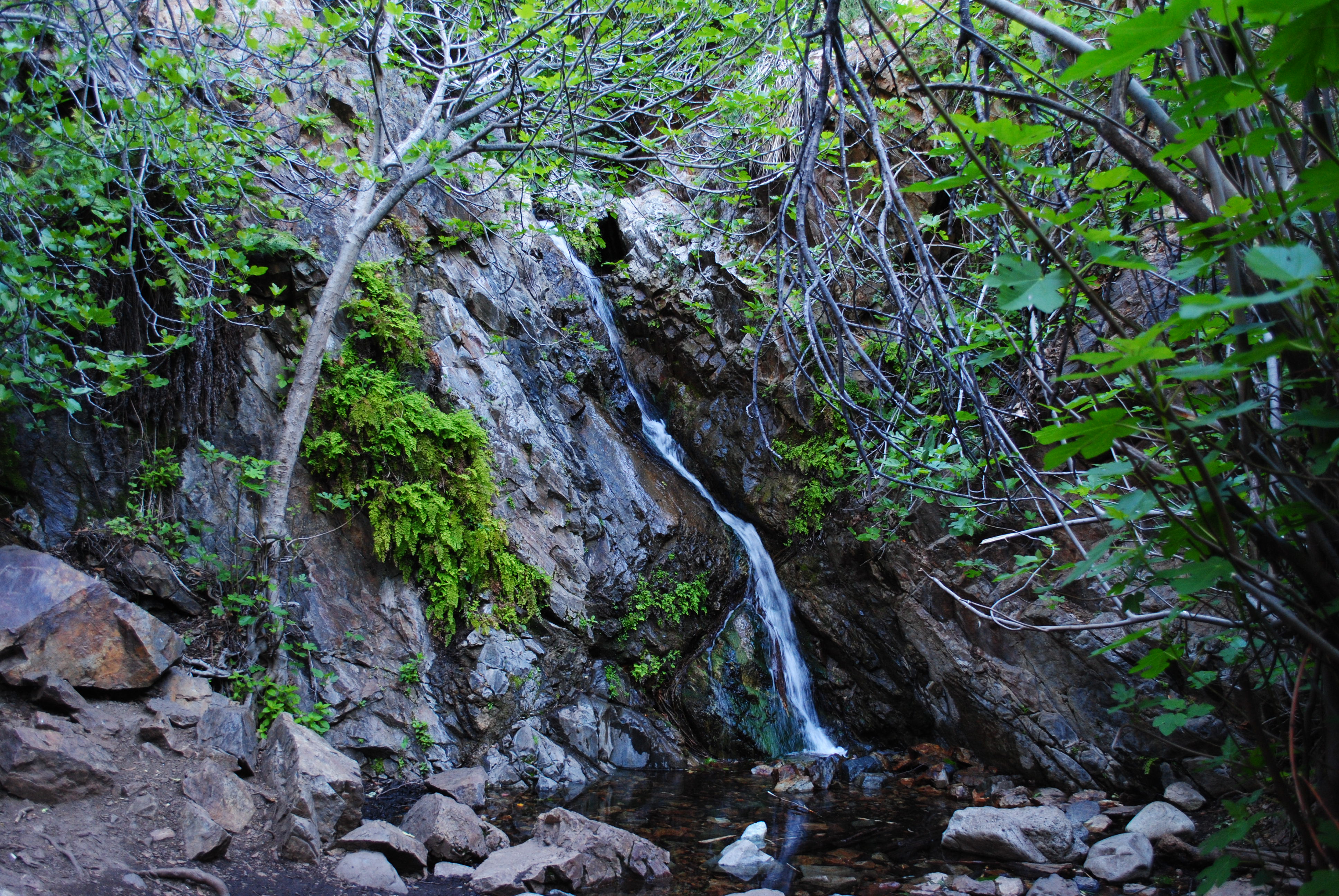 Holy Jim Falls