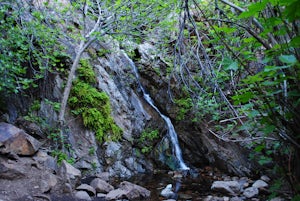 Hike to Holy Jim Falls