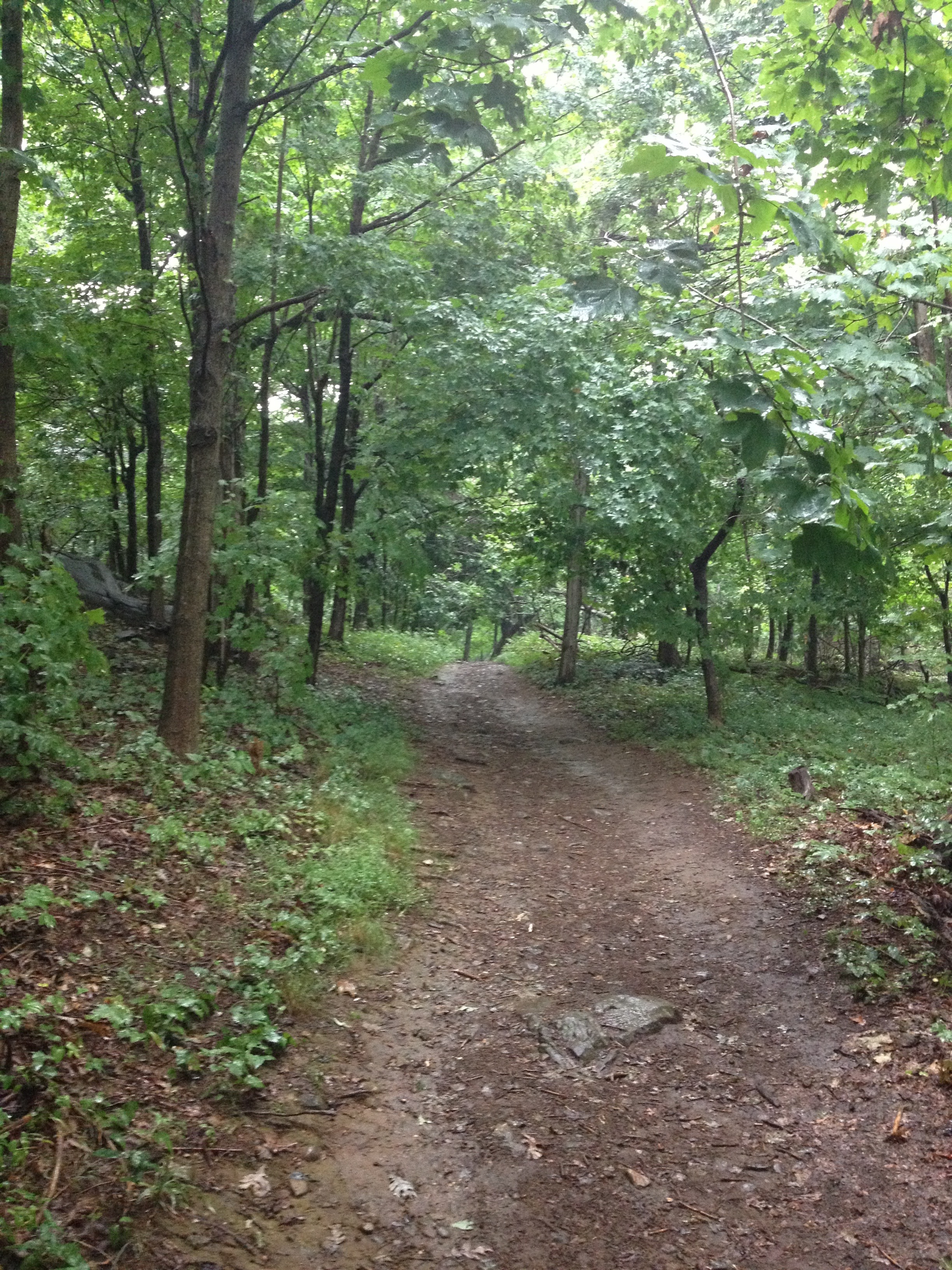 The best Trails and Outdoor Activities in and near Union Vale, New York