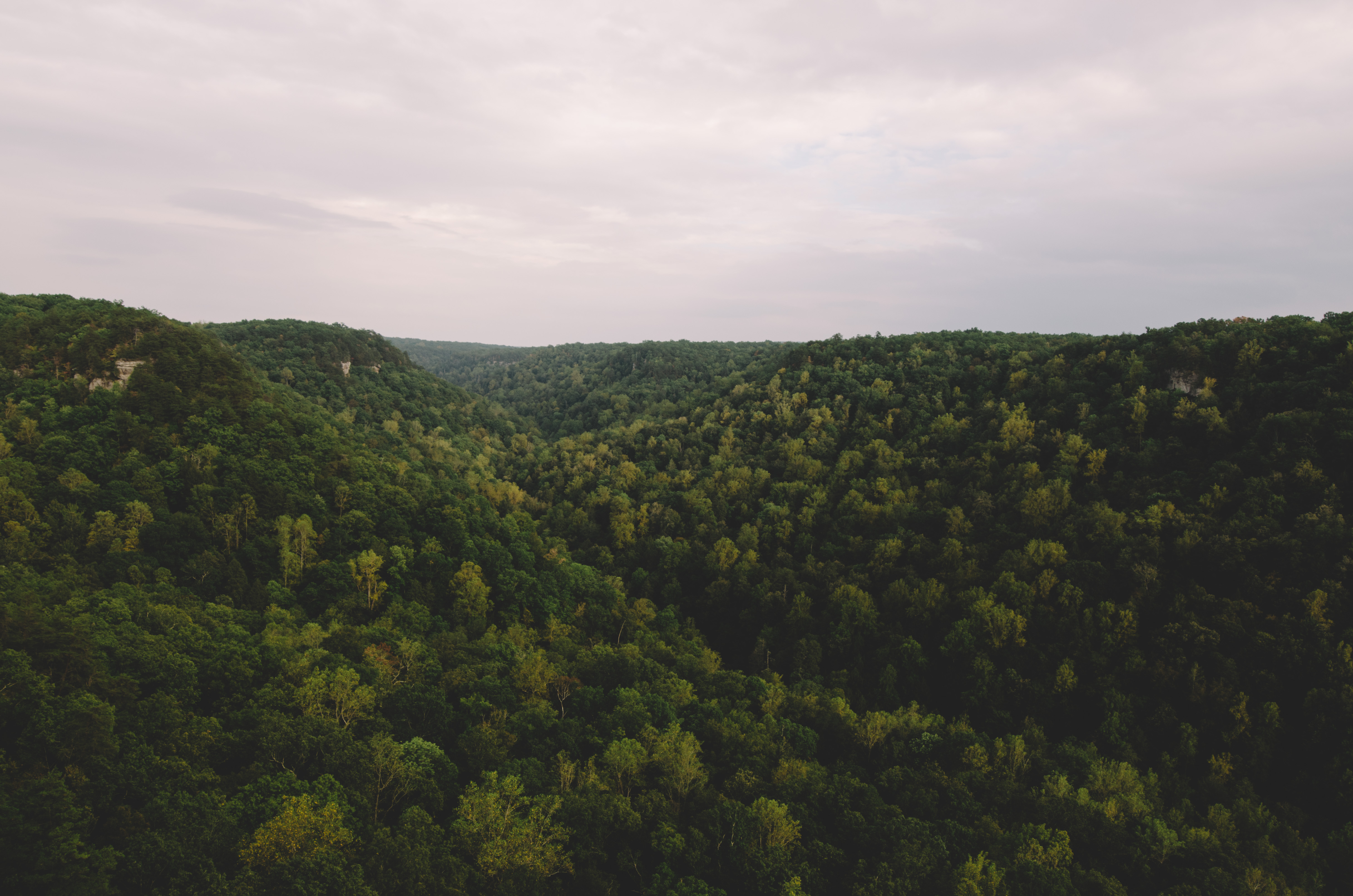 Hike the North Plateau-North Rim Loop at Savage Gulf