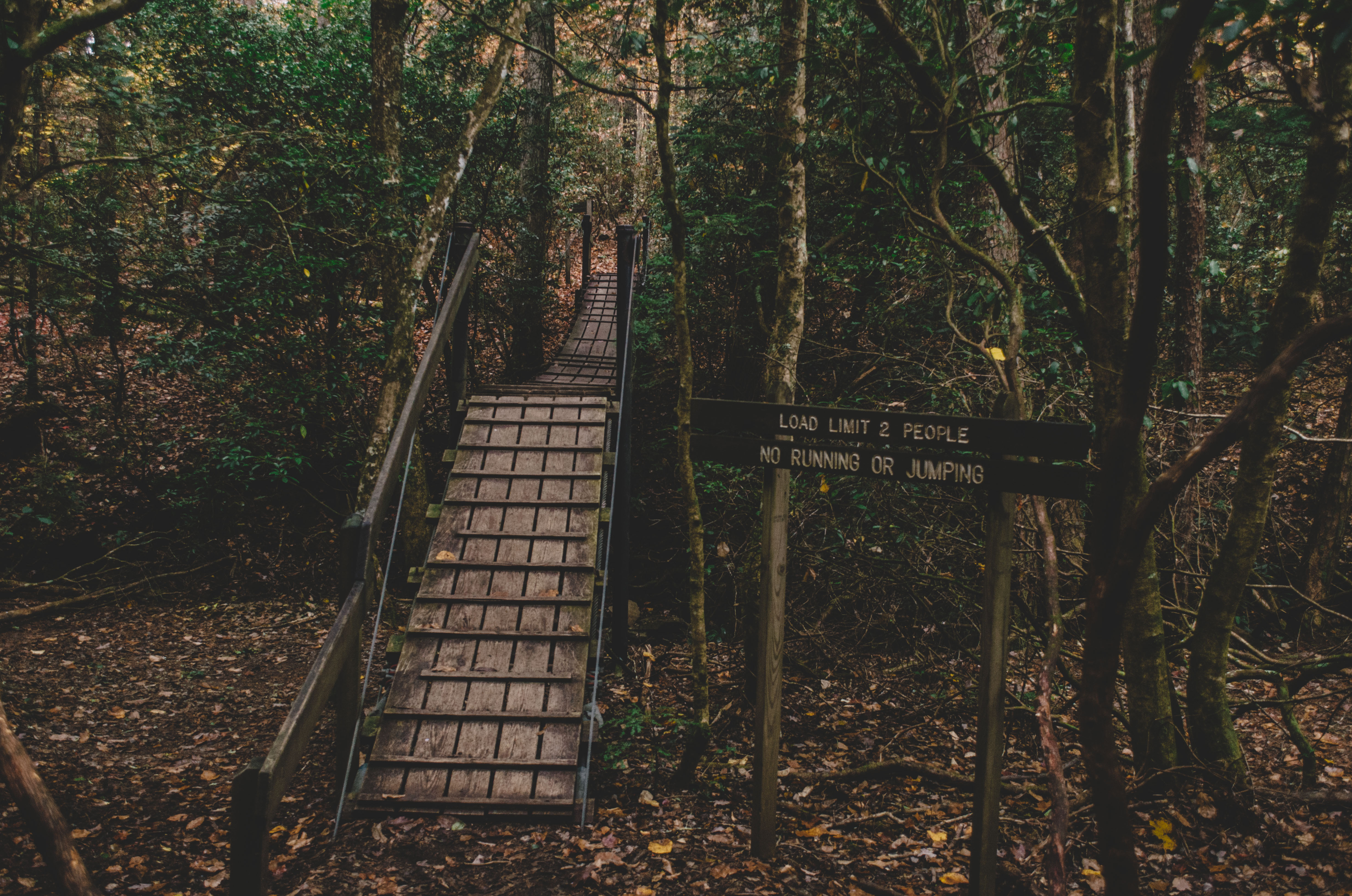 Hike the North Plateau-North Rim Loop at Savage Gulf
