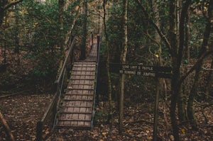 Hike the North Plateau-North Rim Loop at Savage Gulf