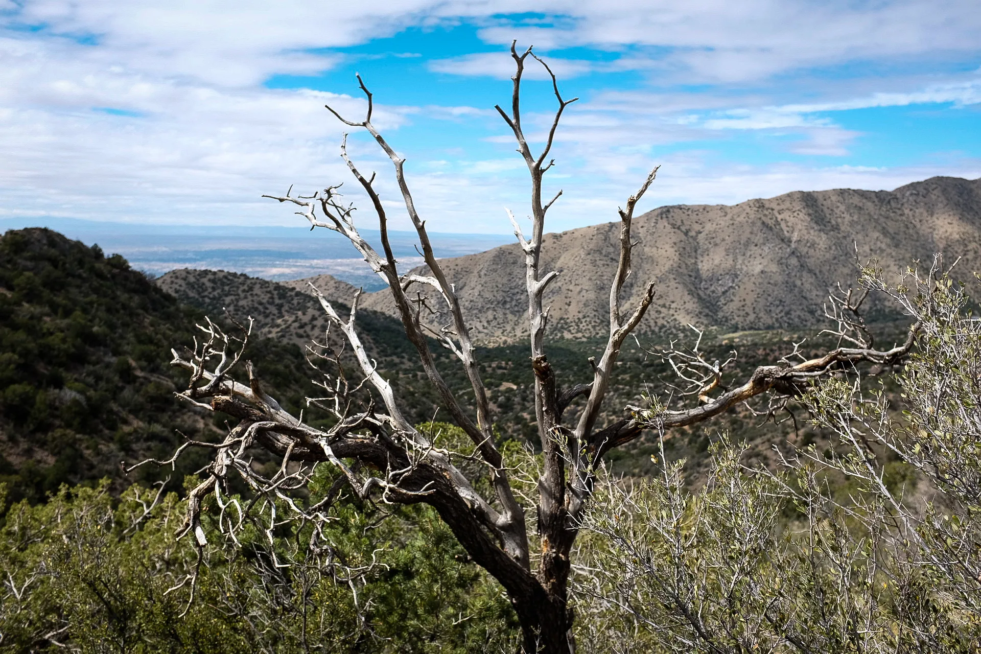 Hike La Luz Trail 