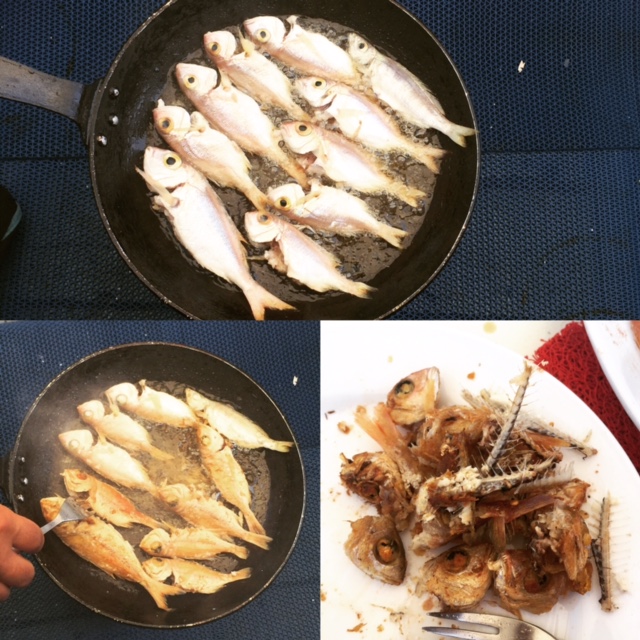 Fishing in Dalyan 