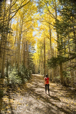 Hike the Abineau-Bear Jaw Loop, Abineau-Bear Jaw loop