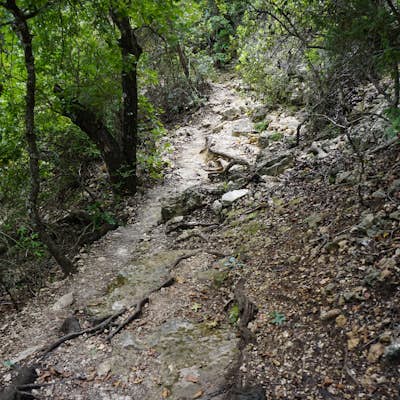 Hike the Vista Loop at Friedrich Wilderness Park