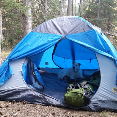 Camp near Grizzly Bear Creek in the Black Elk Wilderness