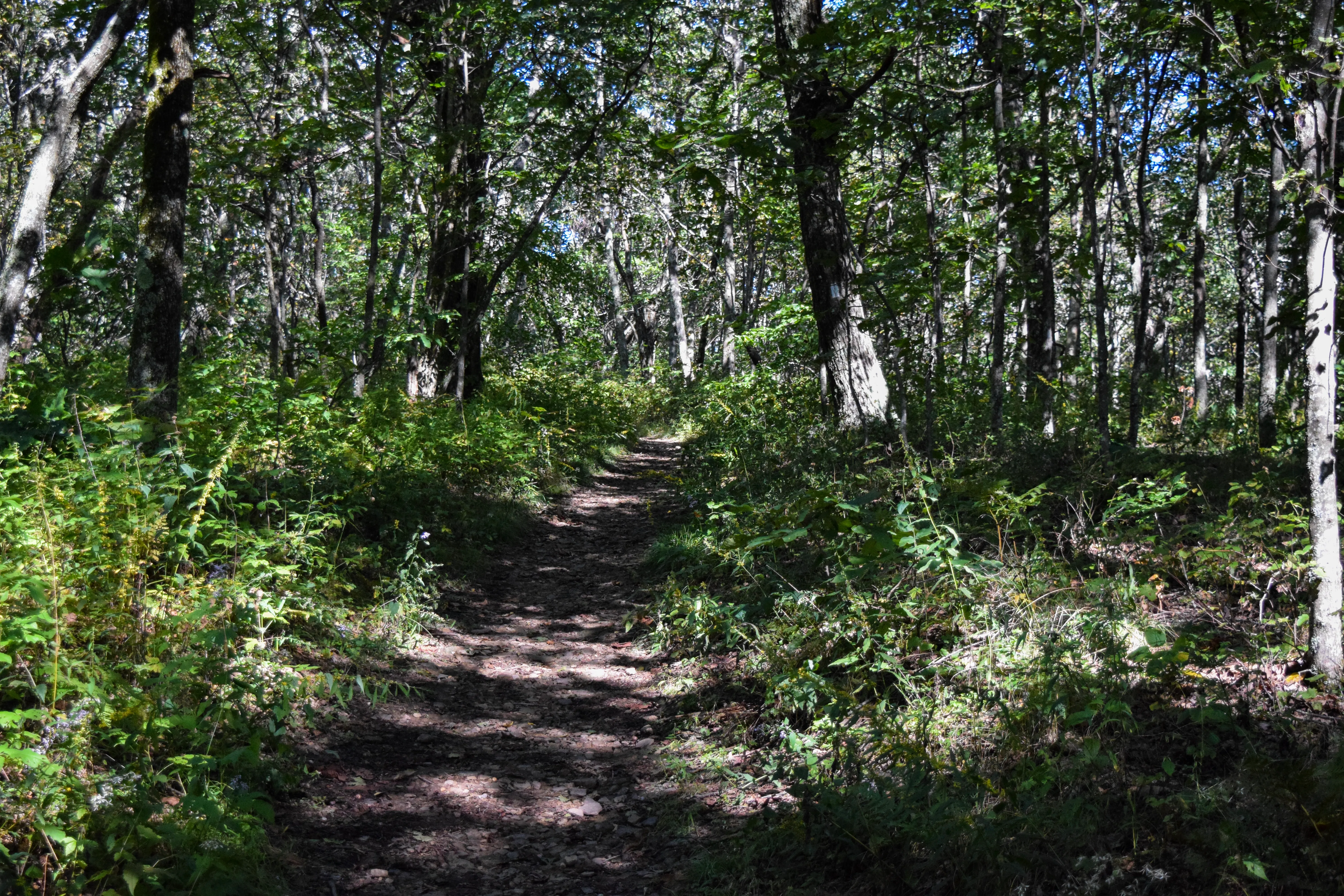 Hike to Wind Rock
