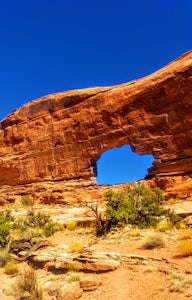 Jeep Arch Trail