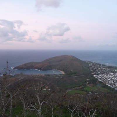Run the Koko Crater Trail in Honolulu, Hawaii