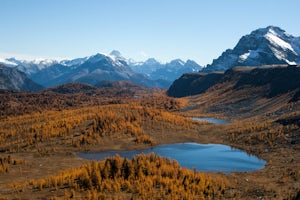 Hike to Healy Pass 