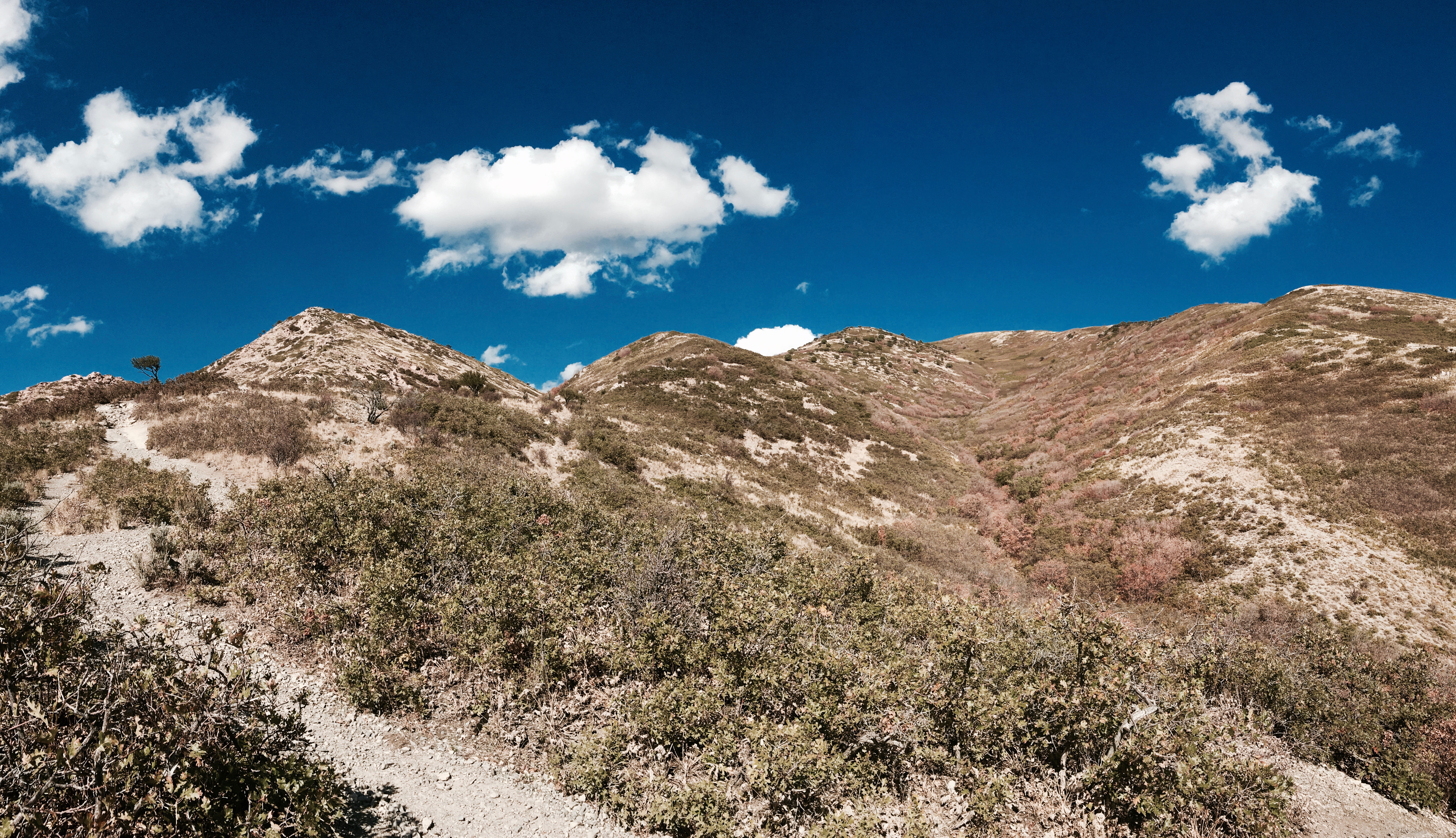 Hike or Run Mount Wire