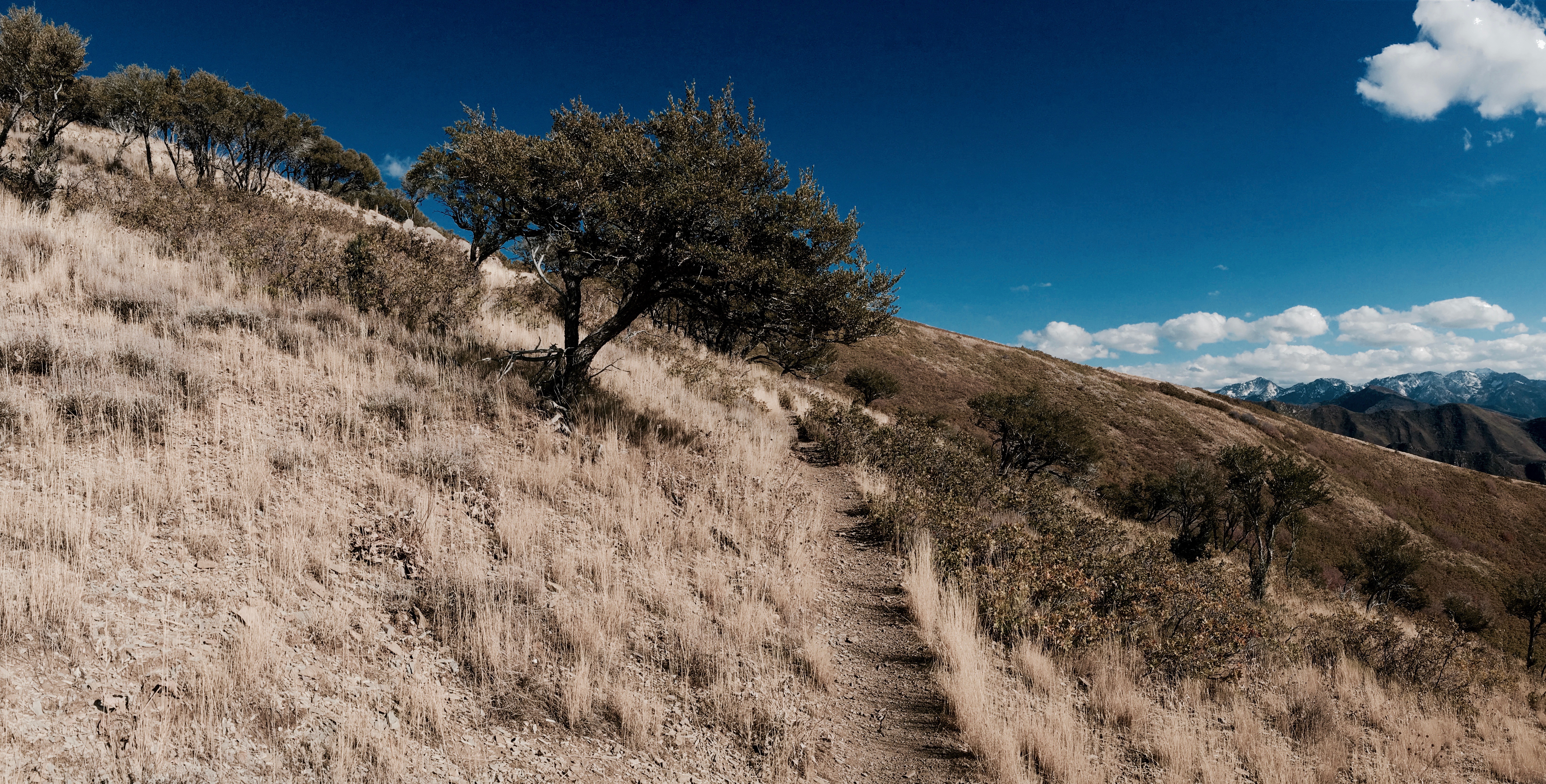 Hike or Run Mount Wire
