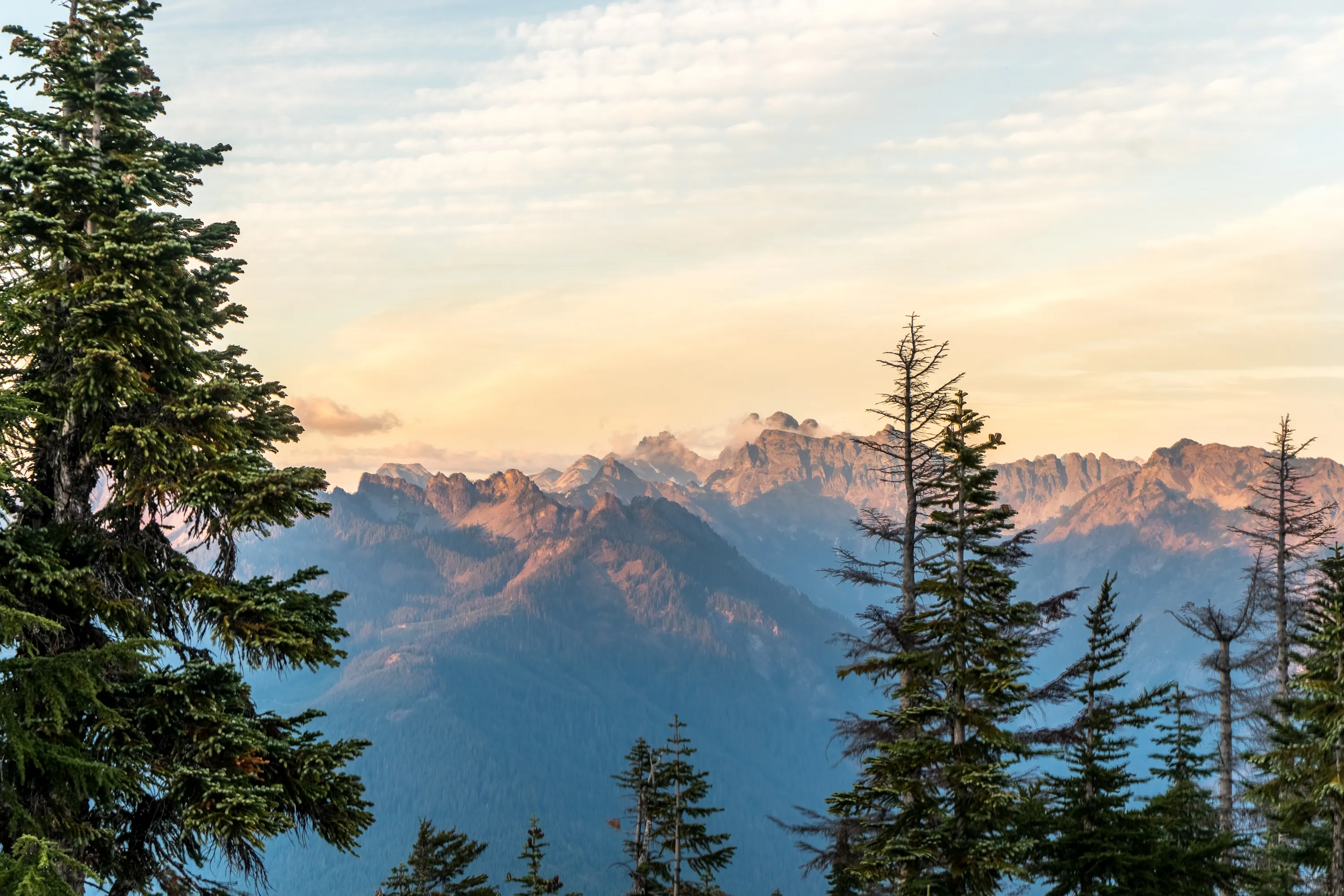 Hike Mount Catherine