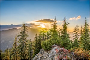 Hike Mount Catherine