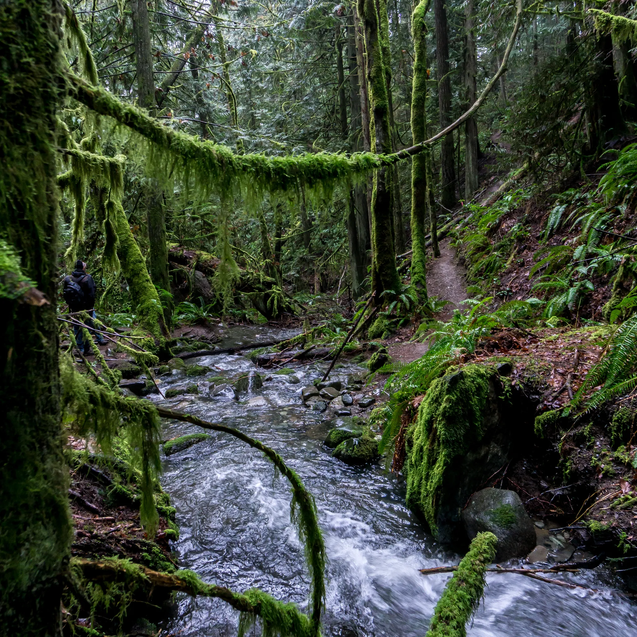 Hike Mount Prevost
