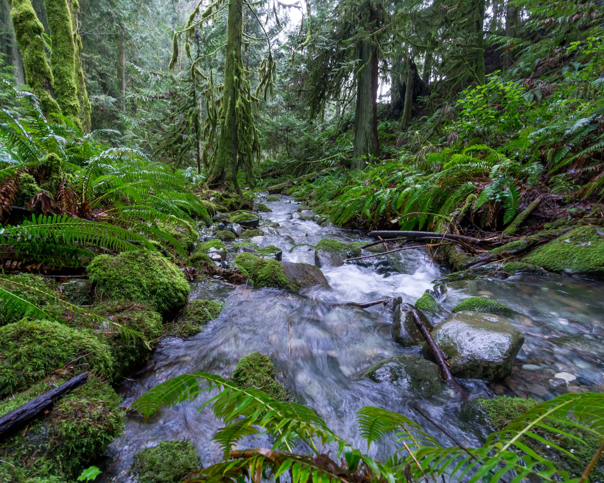 Hike Mount Prevost