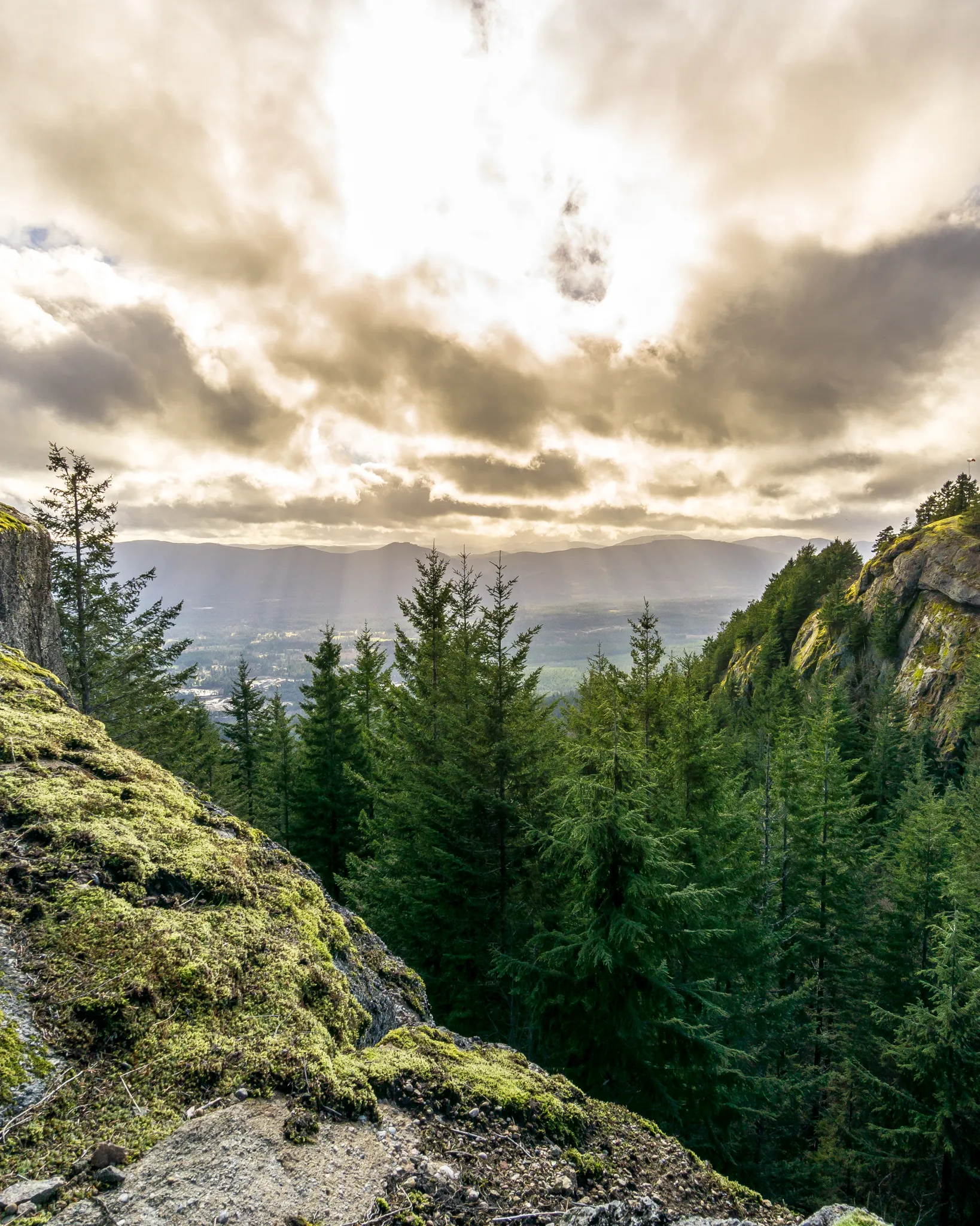 Hike Mount Prevost