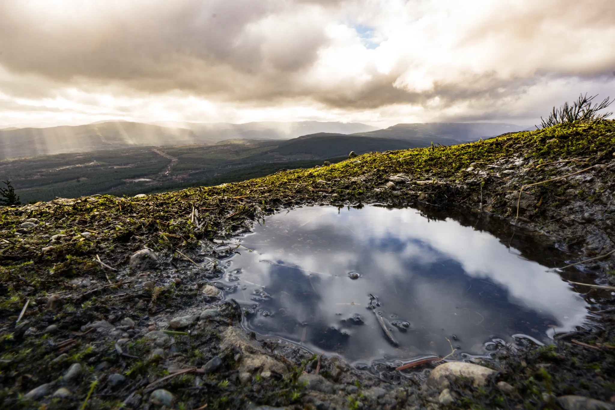 Hike Mount Prevost