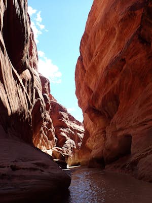 Backpack The Paria Canyon