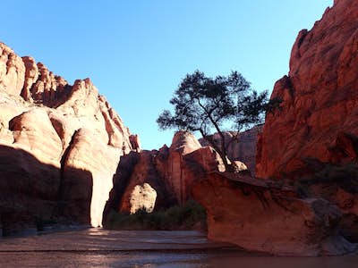 Backpack The Paria Canyon