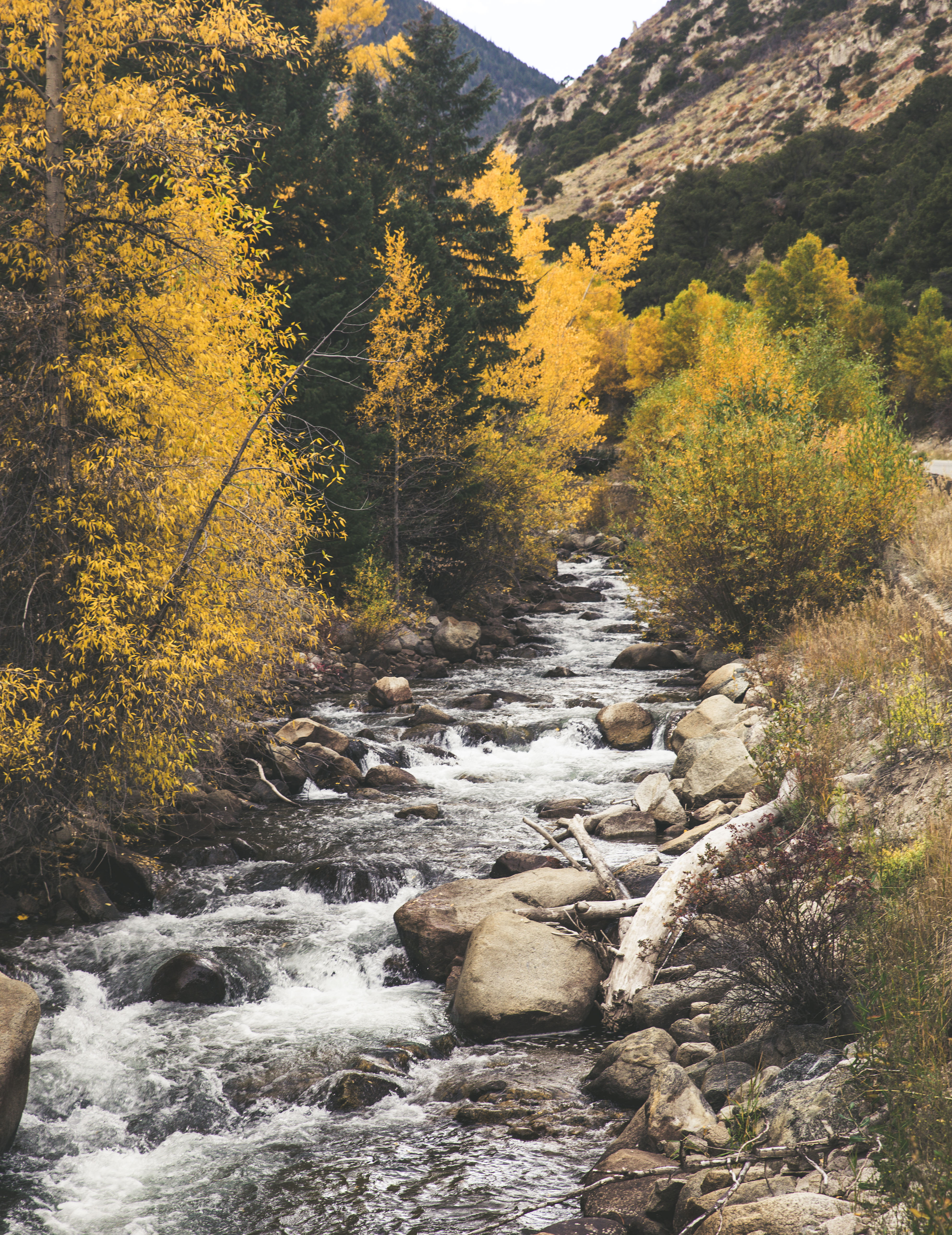 Photograph Cottonwood Lake, CO