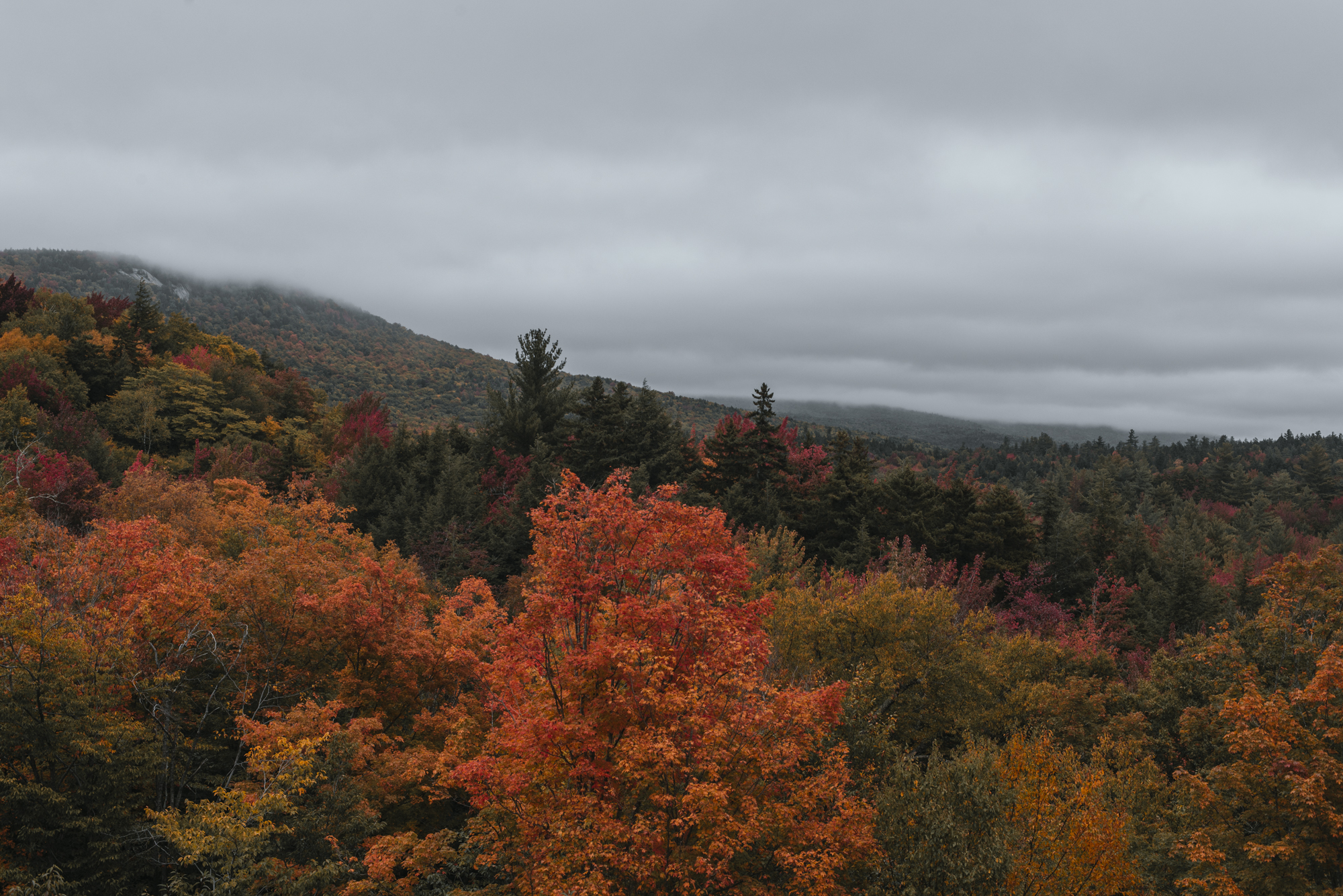 Photograph Fall Foliage on the Kancamagus Highway