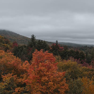Photograph Fall Foliage on the Kancamagus Highway