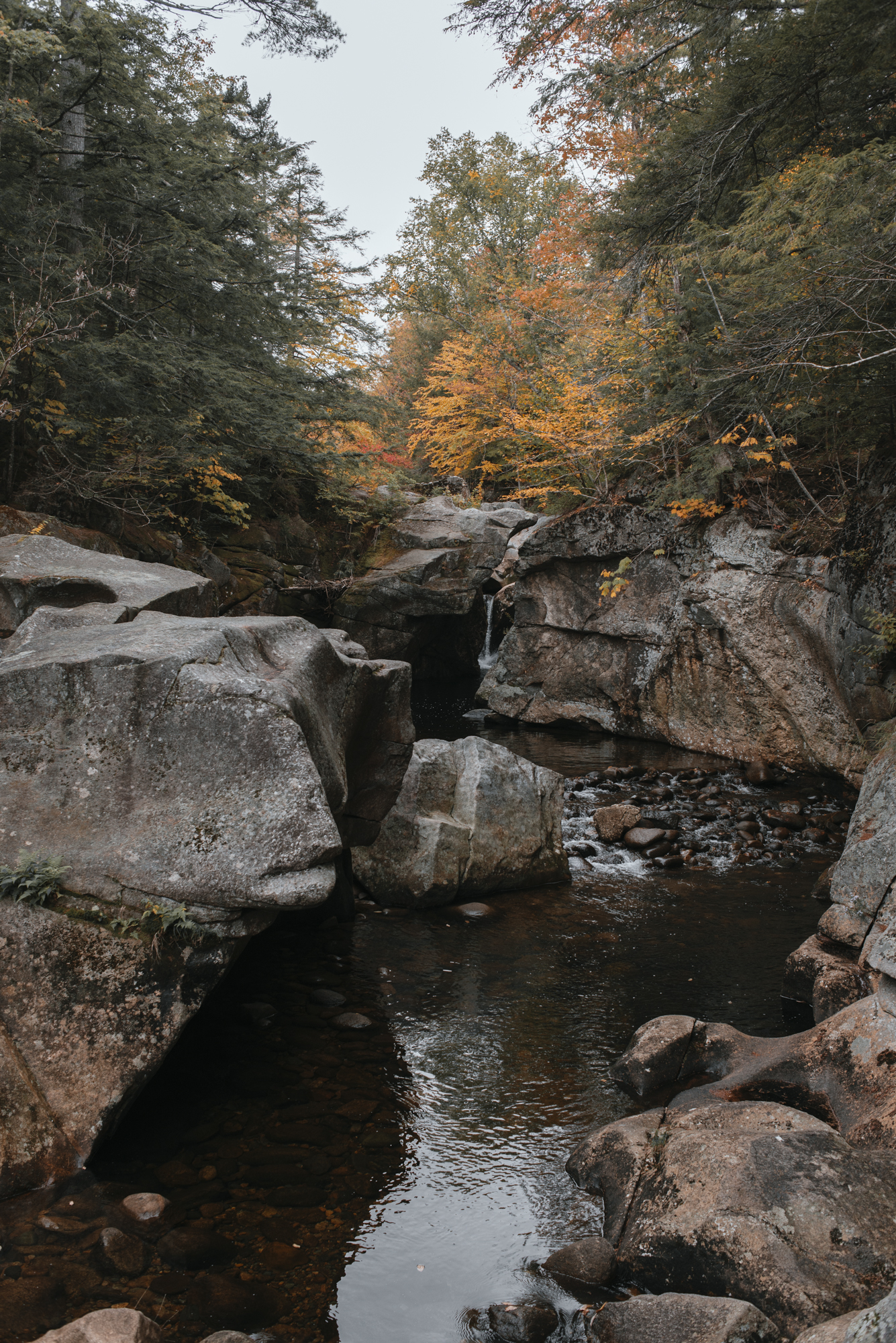 Photograph Fall Foliage on the Kancamagus Highway