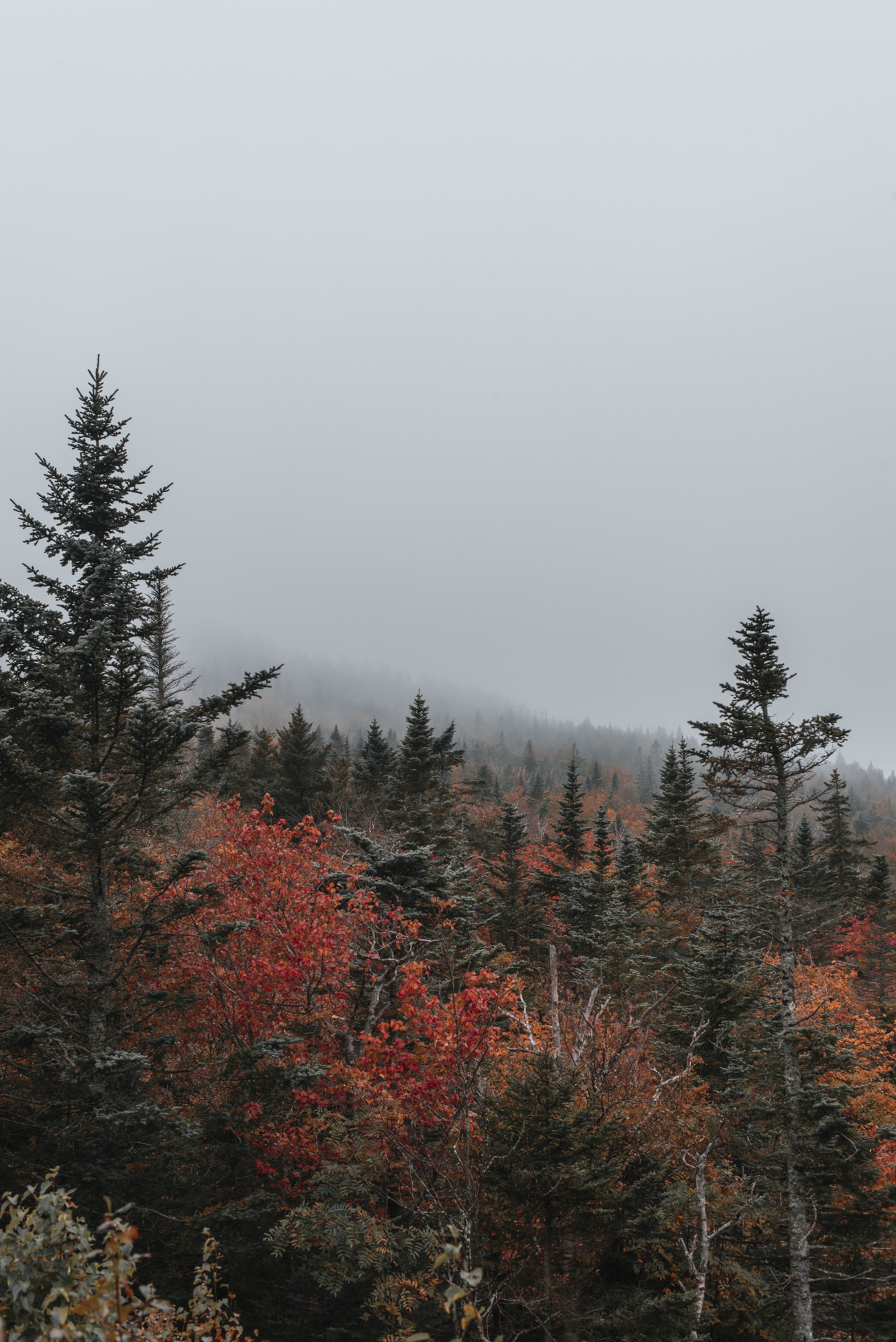 Photograph Fall Foliage on the Kancamagus Highway