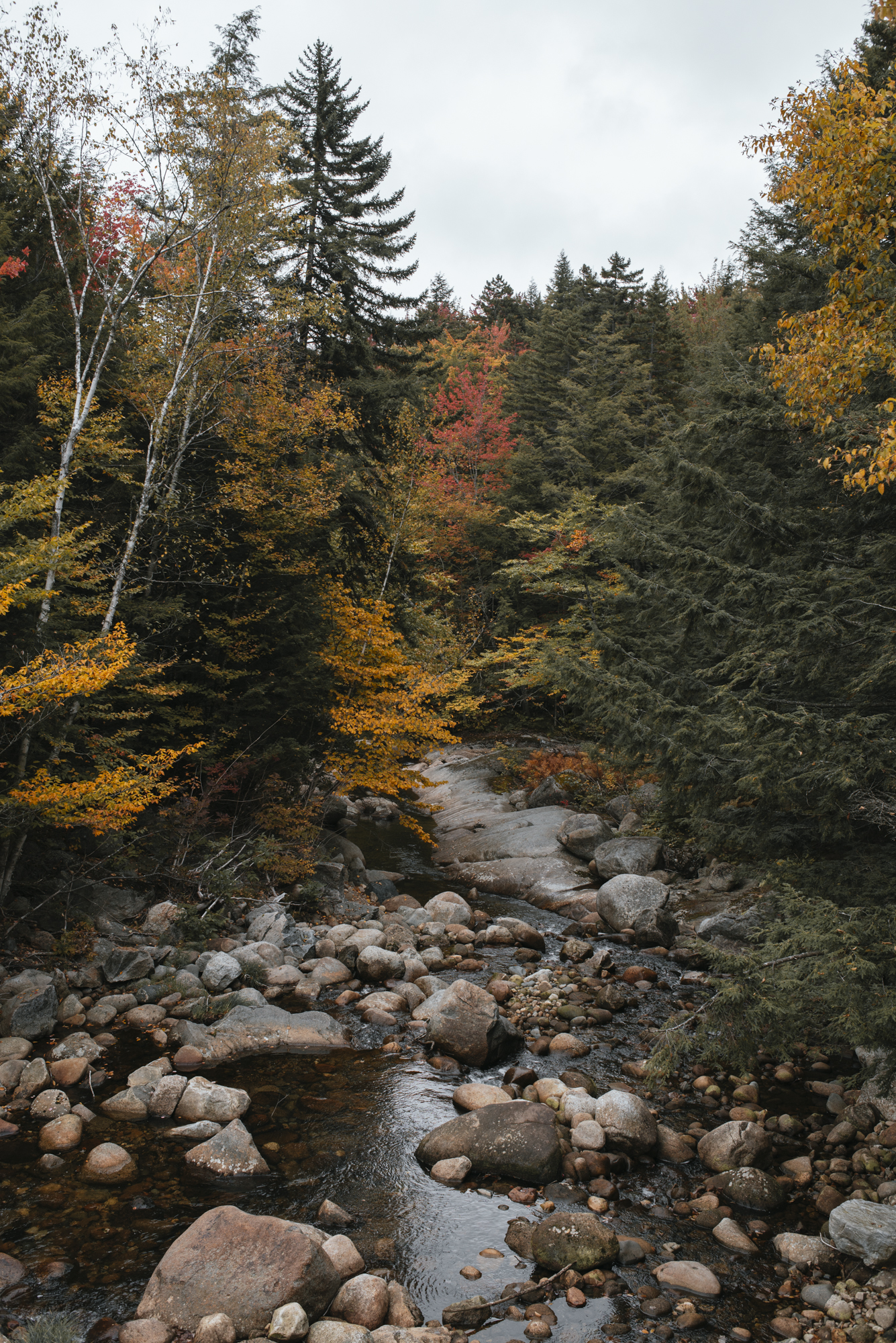 Photograph Fall Foliage on the Kancamagus Highway