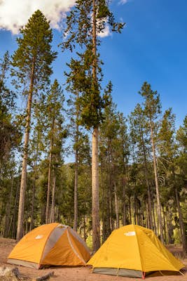 Camp at Christmas Meadows in the Uinta National Forest 