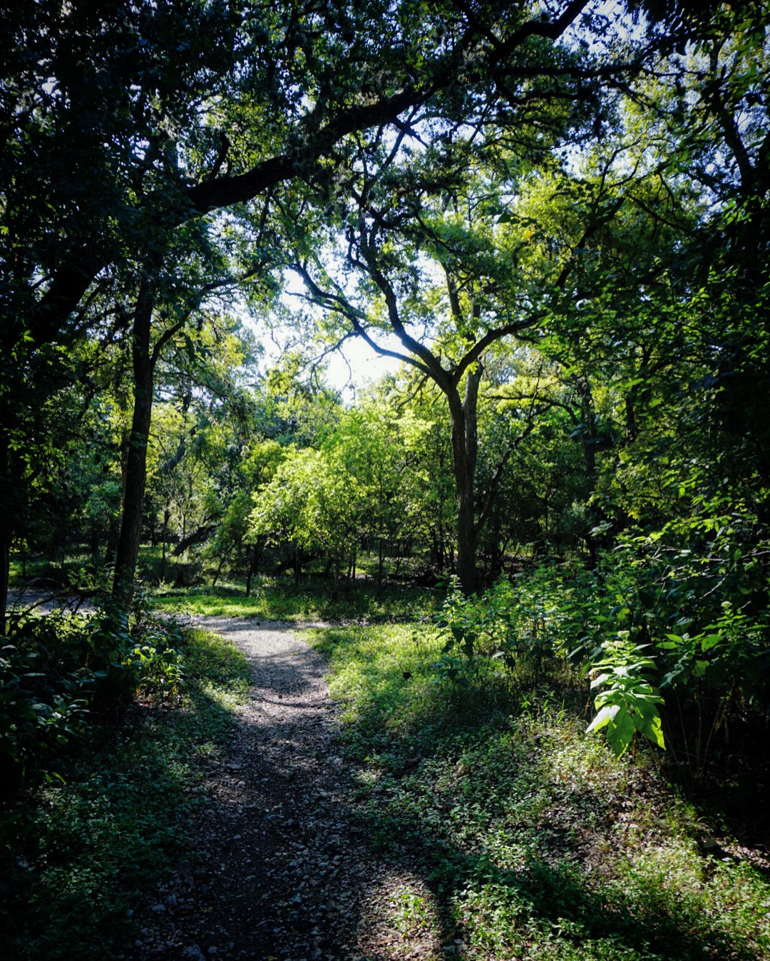 Hike the Mud Creek Loop at McAllister -