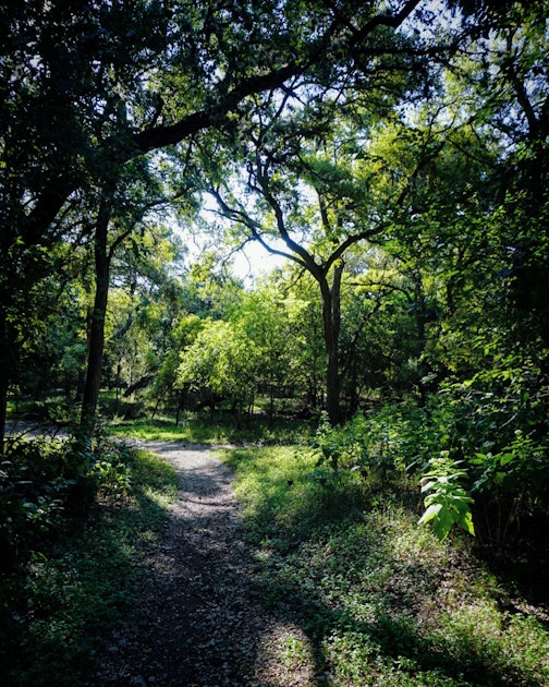 Hike the Mud Creek Loop at McAllister Park, San Antonio, Texas