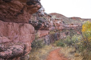 Hike the Bent Rock Trail at Red Mountain Open Space 