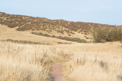 Hike the Mahogany Loop Trail at Soapstone Prairie Natural Area