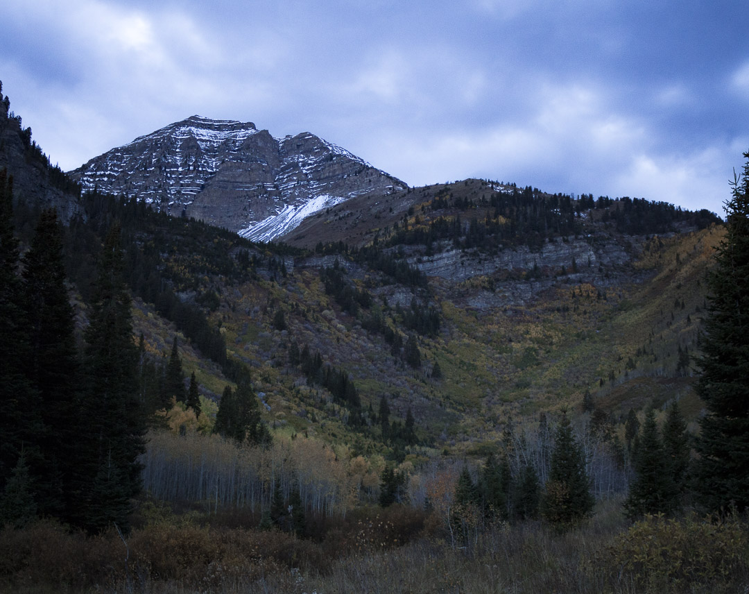 Camp at Timpooneke Campground
