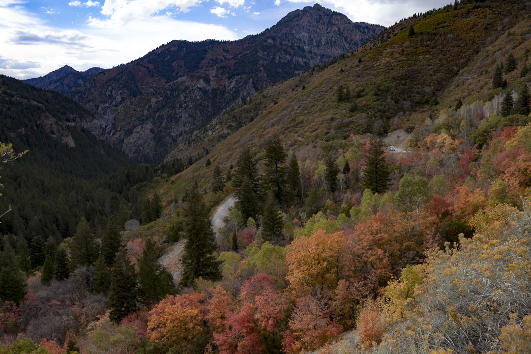 Camp at Timpooneke Campground