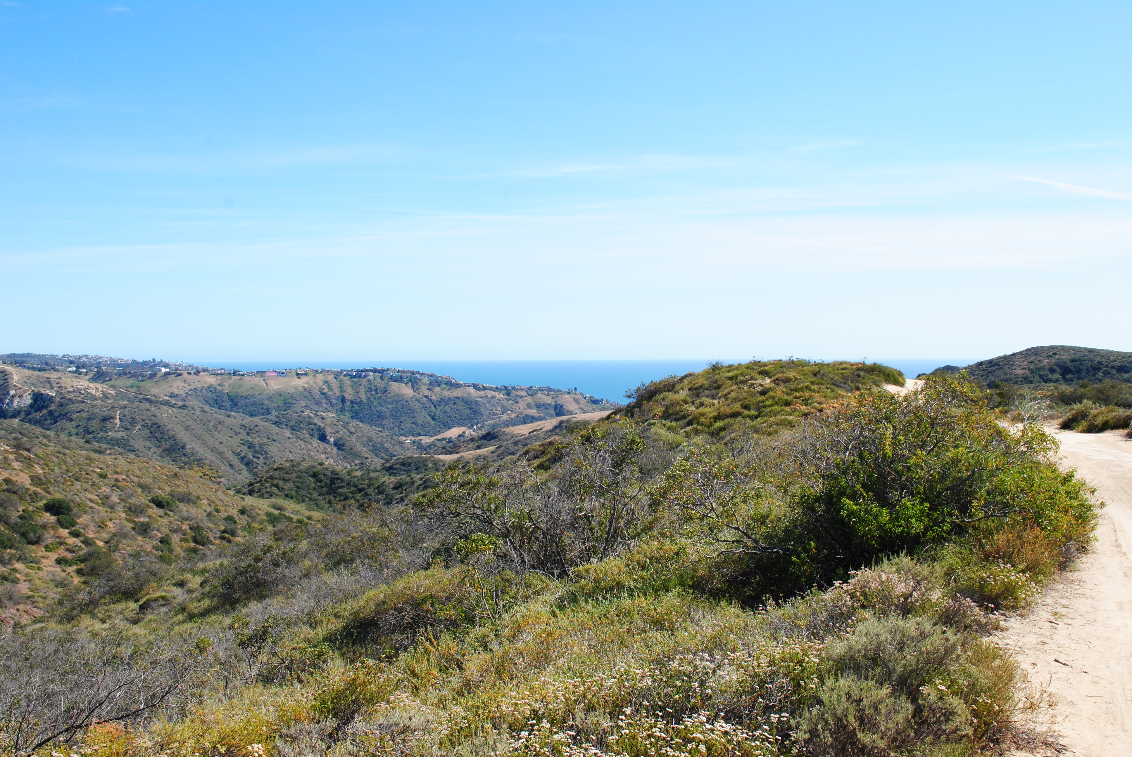 Hike Willow Canyon, Laguna Coast Wilderness Park
