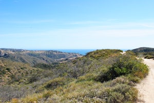 Hike Willow Canyon, Laguna Coast Wilderness Park