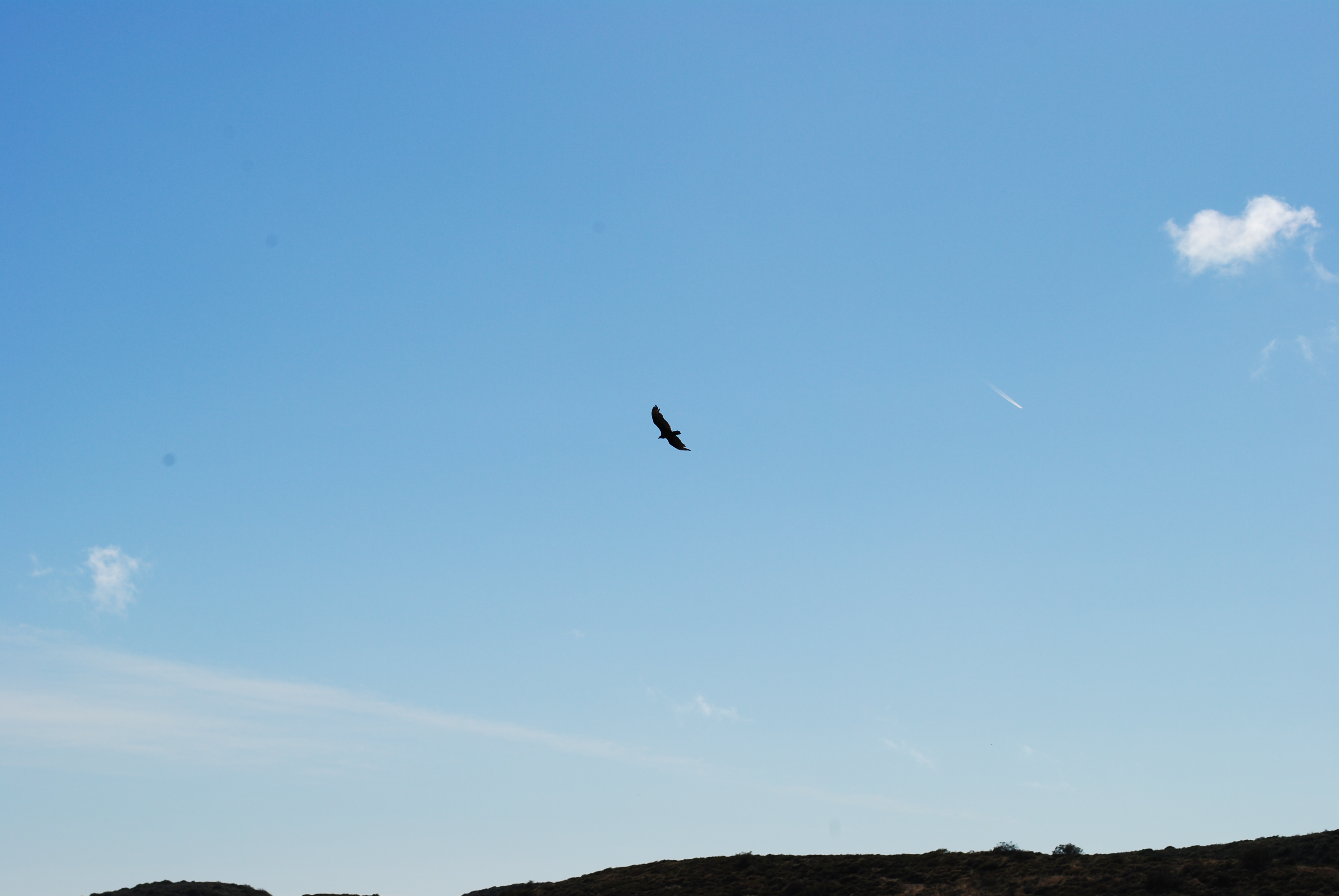 Hike Willow Canyon, Laguna Coast Wilderness Park