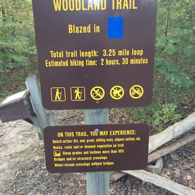 Woodland Trail Loop