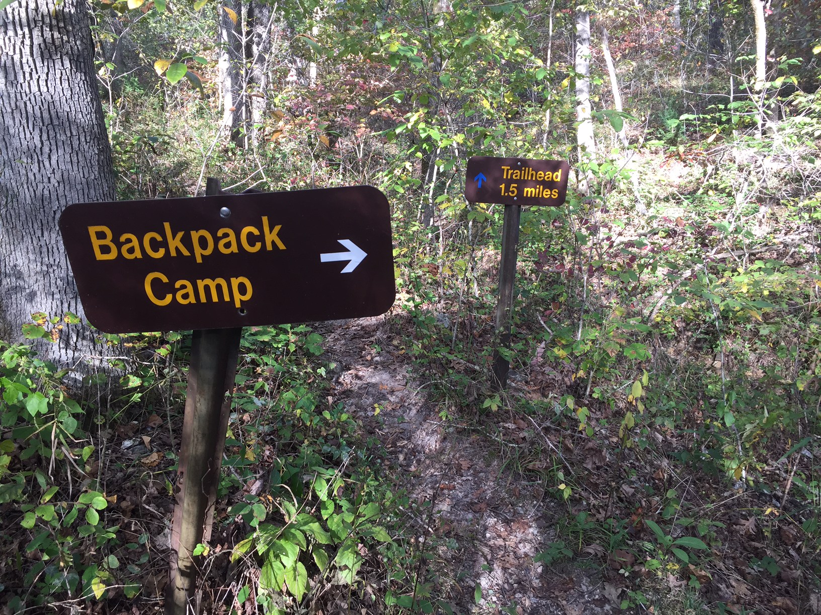 Woodland Trail Loop